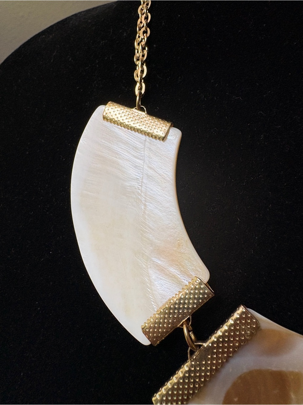 Mother-of-Pearl White Sea Shell Necklace - Picture 8 of 10